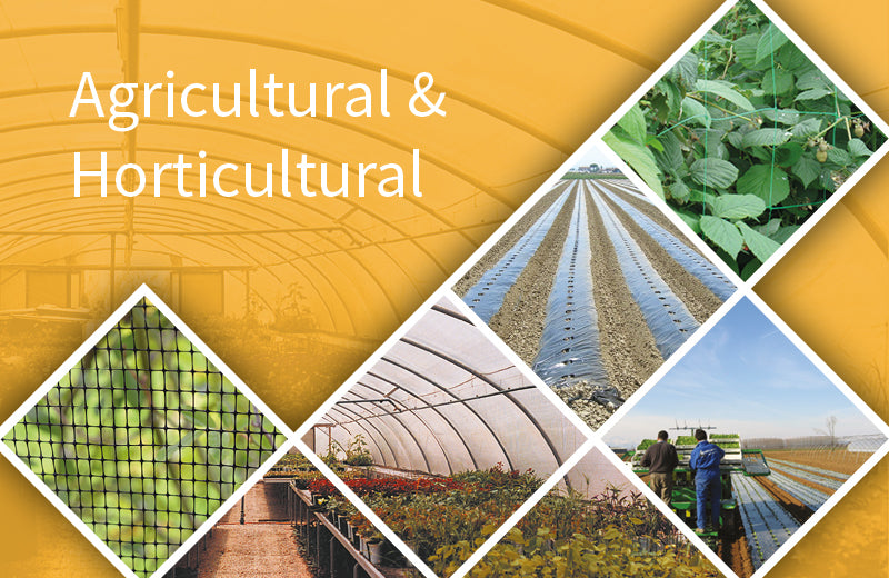 Exceptionnelle Grande Canne En Bois (châtaignier ?) Avec Mon