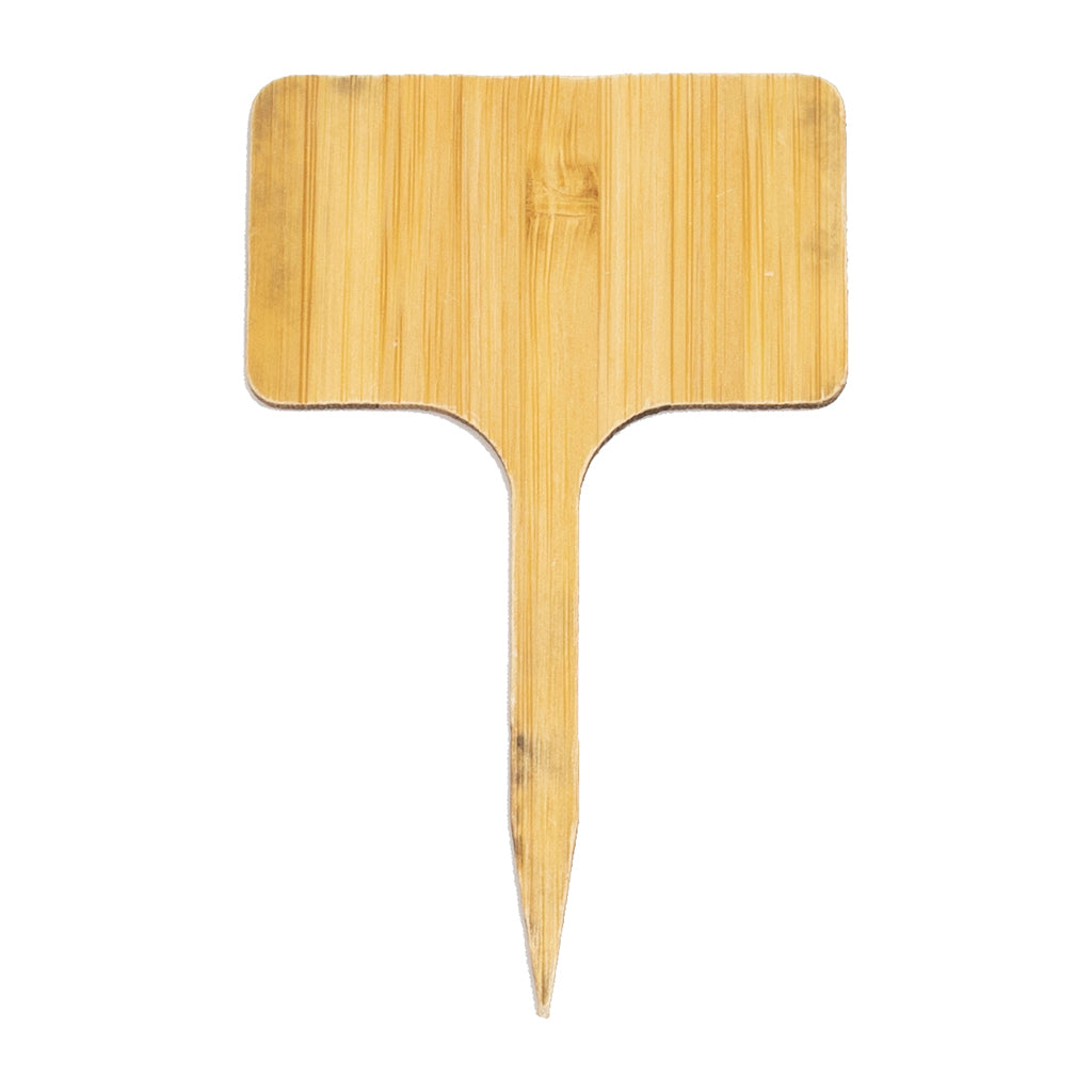 Bamboo T Labels 10cm x 6cm - (10)