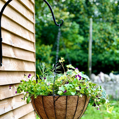 Hanging Basket Arch Hook 16" 40.5cm