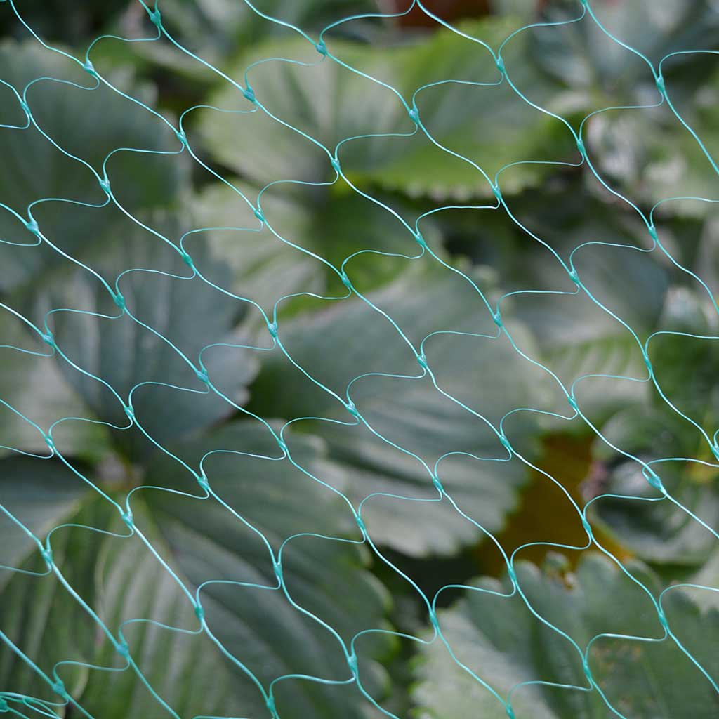 Garden Netting 4m x 6m