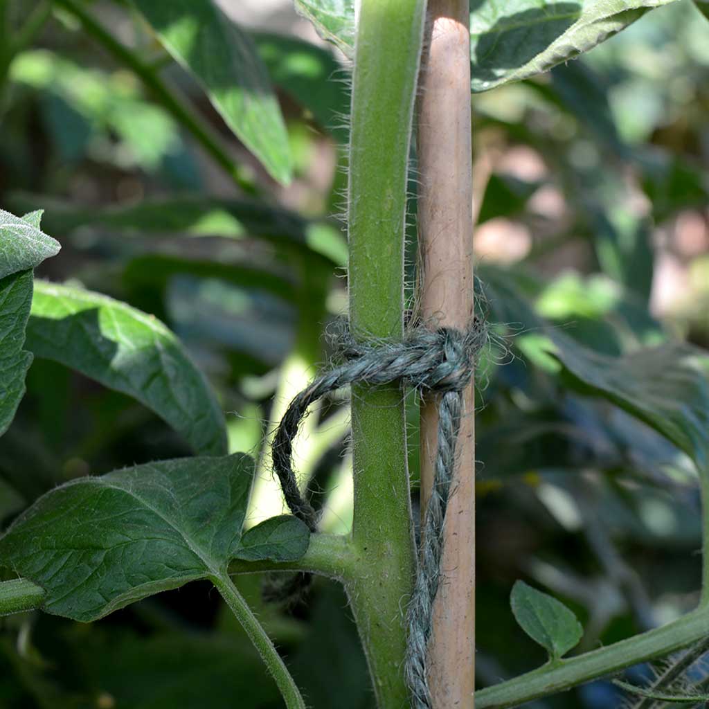 Biodegradable Green Jute Twine (260m/spool)