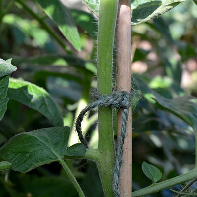 Biodegradable Green Jute Twine (260m/spool)