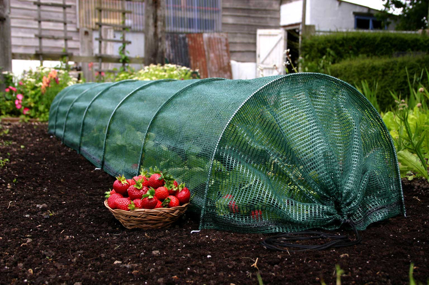 Easy Net Tunnel