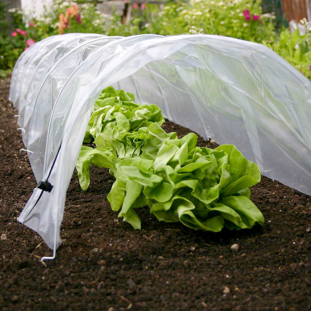 Easy Poly Tunnel  Promo