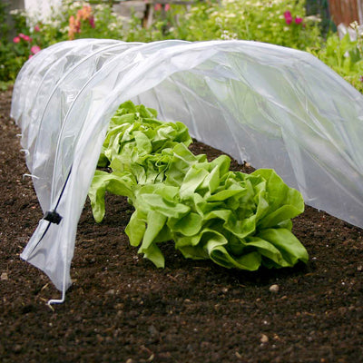 Easy Poly Tunnel