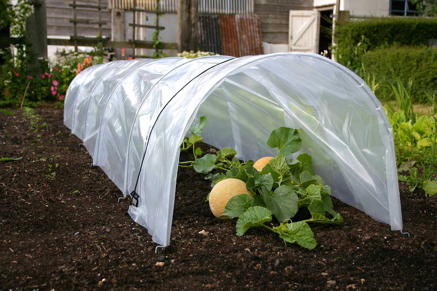 Giant Easy Poly Tunnel Promo