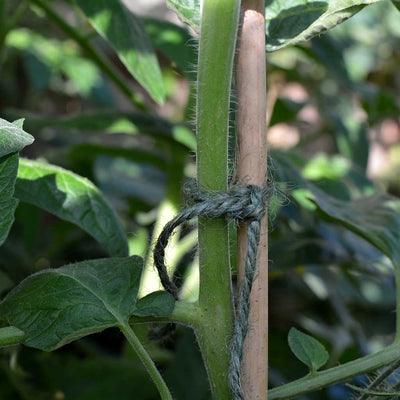 Biodegradable Multi-purpose Ball of String (approx 75m/spool)