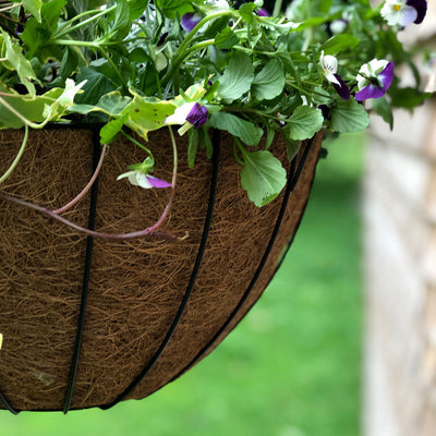 York Deluxe Hanging Basket with Coco Liner 14" 35cm