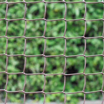 Square Garden Mesh 50mm - 1m x 20m