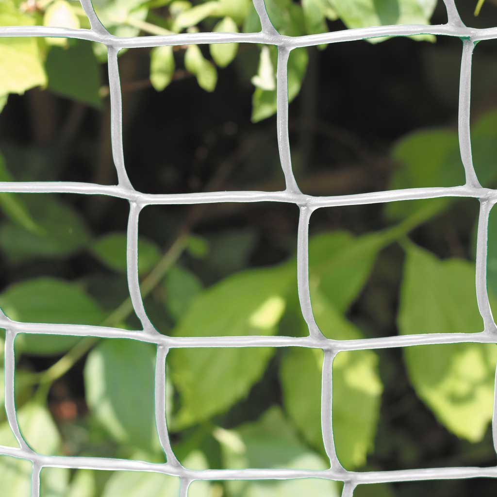 Square Garden Mesh 50mm