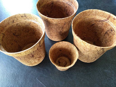 Coco Plant Pots