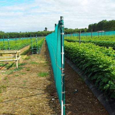 Economy Windbreak Netting - Green