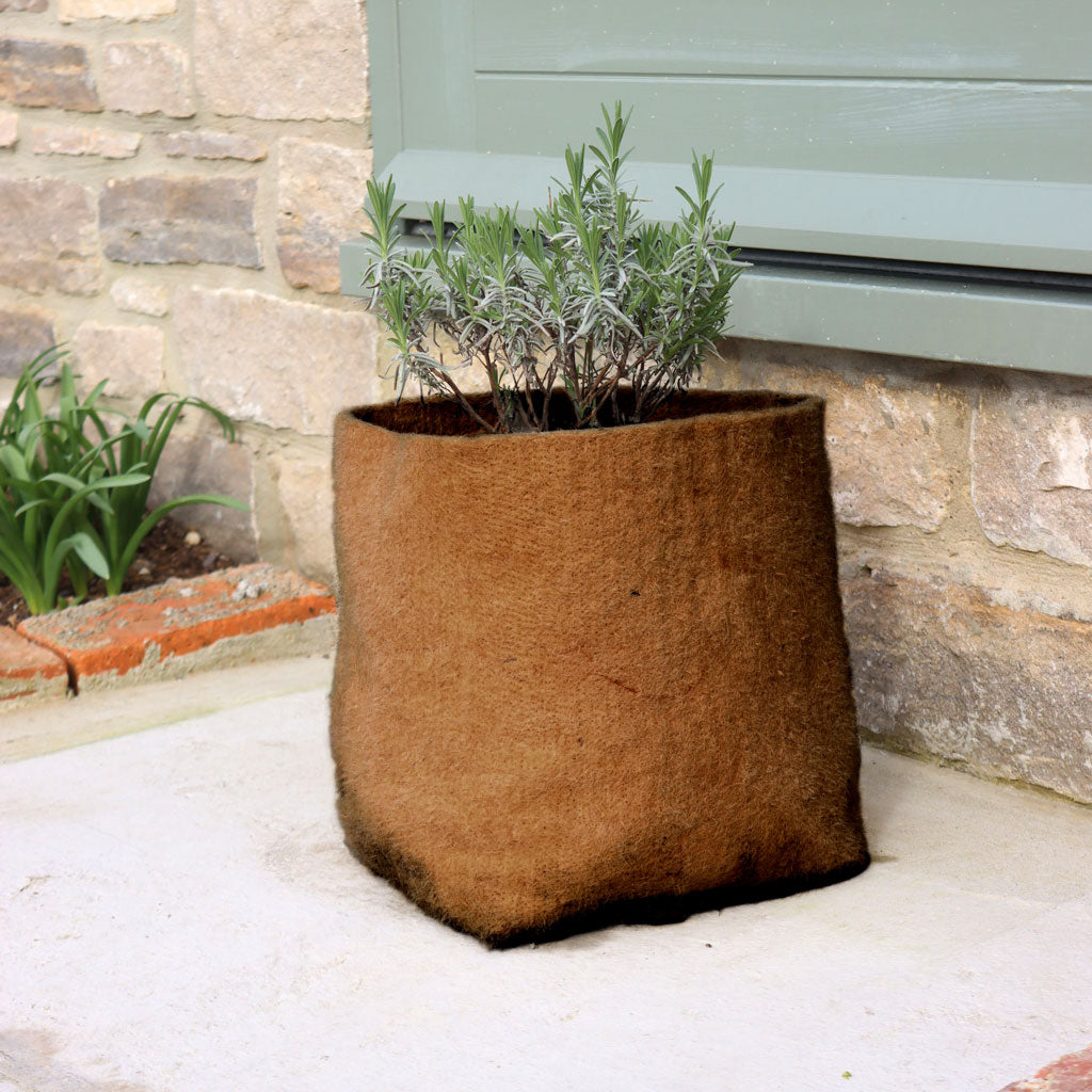 Hemp Plant Pots