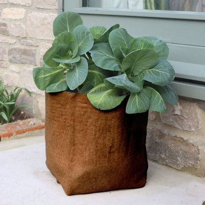 Hemp Plant Pots