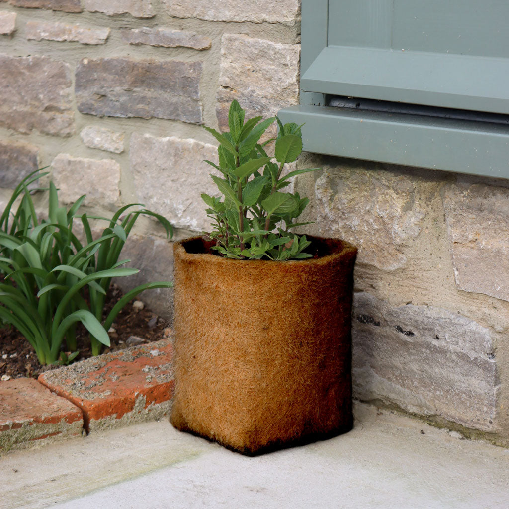 Hemp Plant Pots